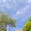 alwasynell2