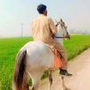 hassaian.abbas