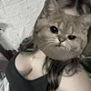 bambiz19
