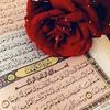user9226129327179