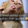 ekawlangsapatna484