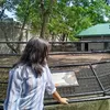 suzairang3