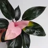mutiara.sari435