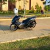 pcx.blue4