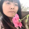 su.trng6