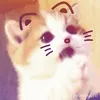 gi.t.l.meow252