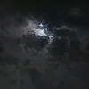 n_y11mar