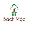 Decor Gỗ Bách Mộc