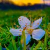 antora.biswas76