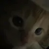 sofiawith4_123