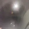 lasagne7la