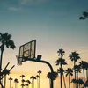 noah_290811
