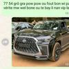 hougananel509