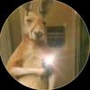 theo_1776