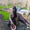ifra2964