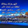 user2244218161619