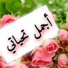 saifabdo_21
