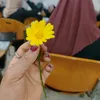 saralshemmiry