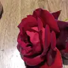hl18150tiktok.comhl