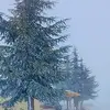 bnjh236