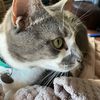 dinoreader5