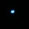 lupi_16282929