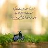 munni.khan09