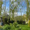 thecottageatprimroselane