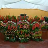 juana.cal6
