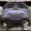 blocofruto07