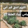 user4219004008693