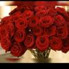habiba.2701