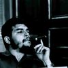 seraj.ali31