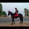 user8120271714045