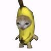 fadr_1l