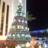 miguel.manrique7