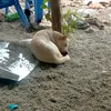 trang123_42