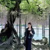 hananguyen13_14