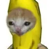 charlescedricvill