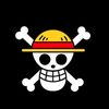 hiduponepiece