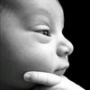 rigbyp6