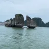 mo.ng33