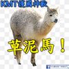 user4957886050768
