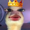 _netta_0