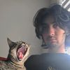 akcats