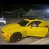 mhmadsaeed30
