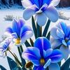 user2375190940268