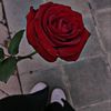 ftoo.ma299