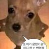 user93310617653063