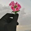 amira65601
